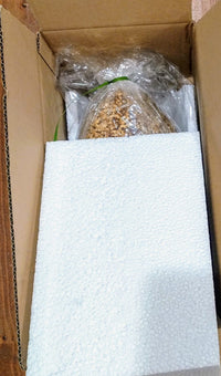 Uovo trigusto fondente con nocciola, pistacchio e fragola - 600g
