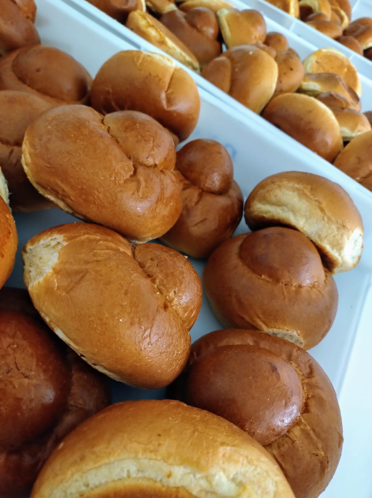 Brioche Gelato col Tuppo e Granite Siciliane Live